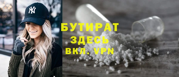 индика Осинники