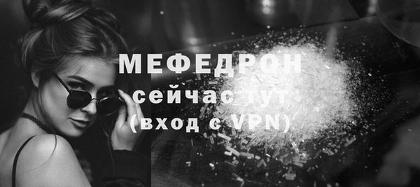 индика Осинники