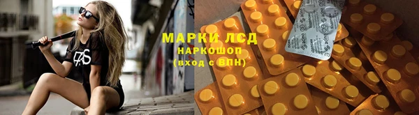 бошки Алзамай