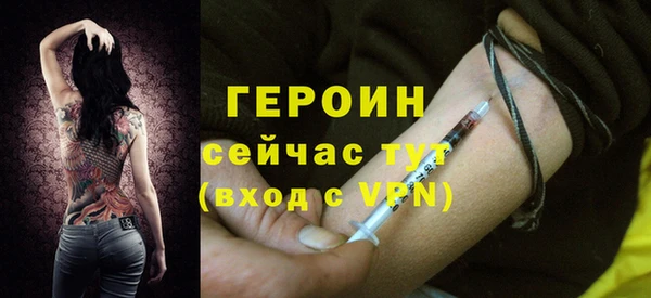 индика Осинники